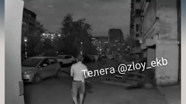    ФОТО: СКРИН С ТГ-КАНАЛА "РУССКИЕ ГРАМОТЫ"