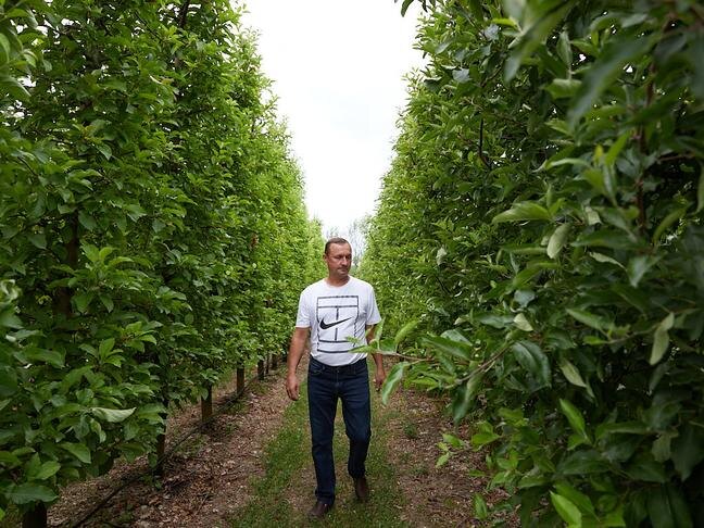 Александр Мамонтов / Фото: Елена Журавлёва 