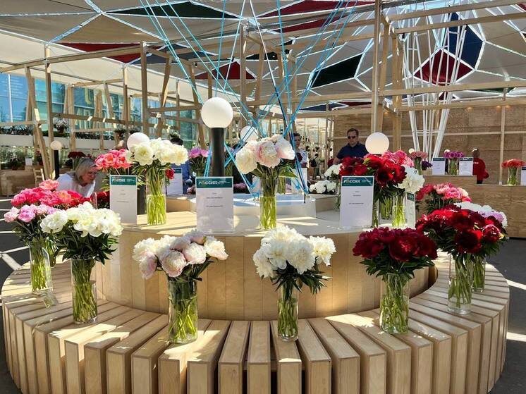     Фото: Владимир Попов