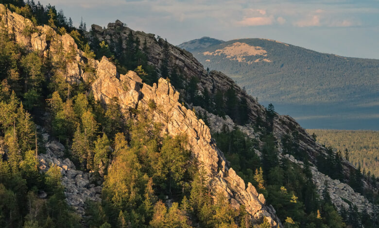  Лесная дорога