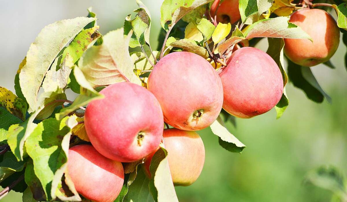 Фото: Владимир Бикмаев