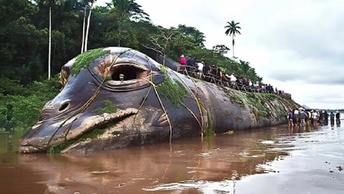 Тайны Амазонки Загадочные Явления и Невероятные Открытия