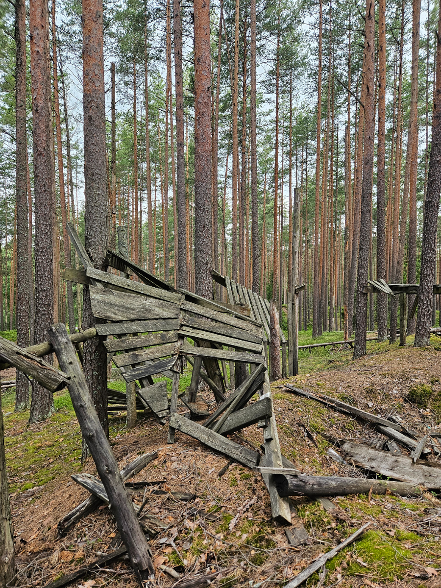 Подножье Пухтоловой горы (фотография автора)