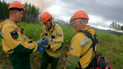 Забайкальский край город чита: результаты поиска самых подходящих видео