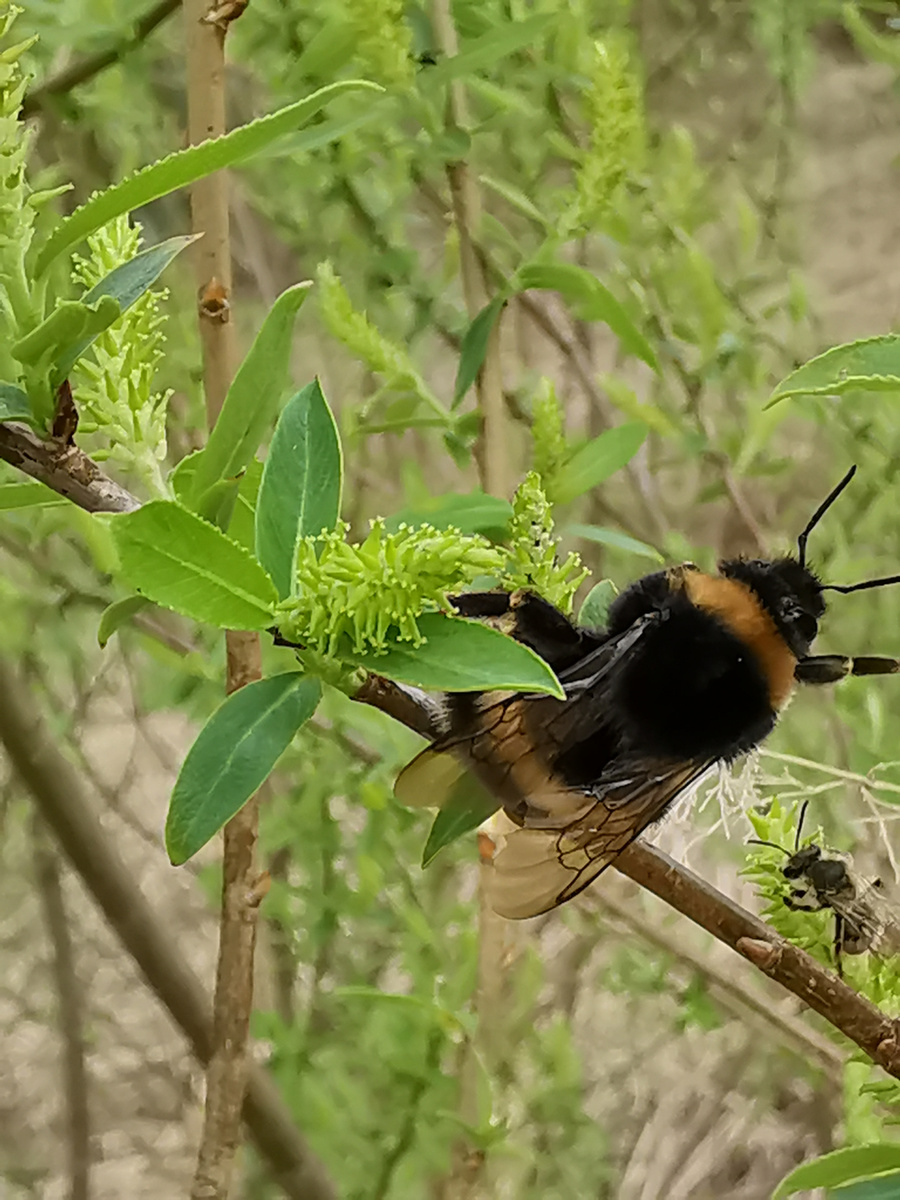 Фотография сделана в моей родовой деревне Нивки, расположенной в Смоленской области на Старой Смоленской дороге. 