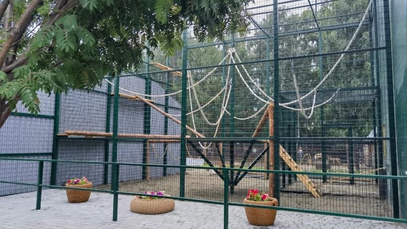     Дом для Билли. vk.com/zoo_22