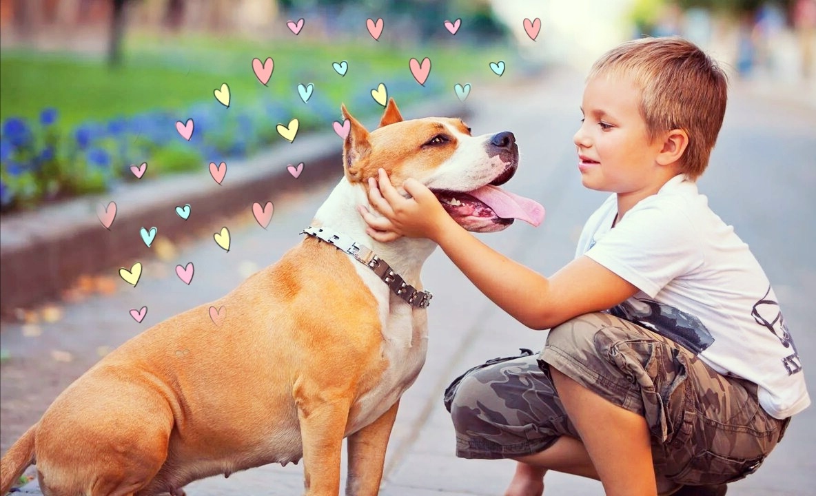 Фото из интернета в обработке автора 