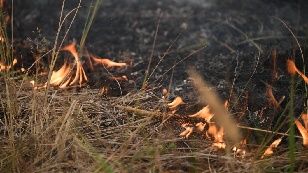    Komsomolskaya Pravda/Global Look Press