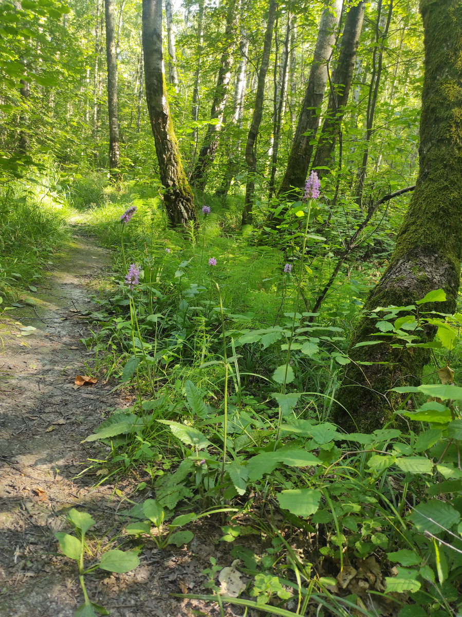 Фото автора. 