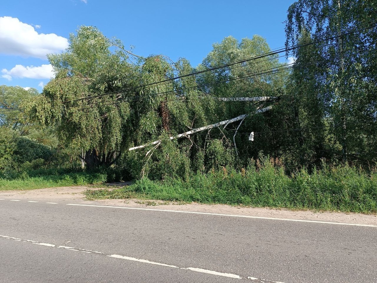В соседней деревне береза упала на провода.