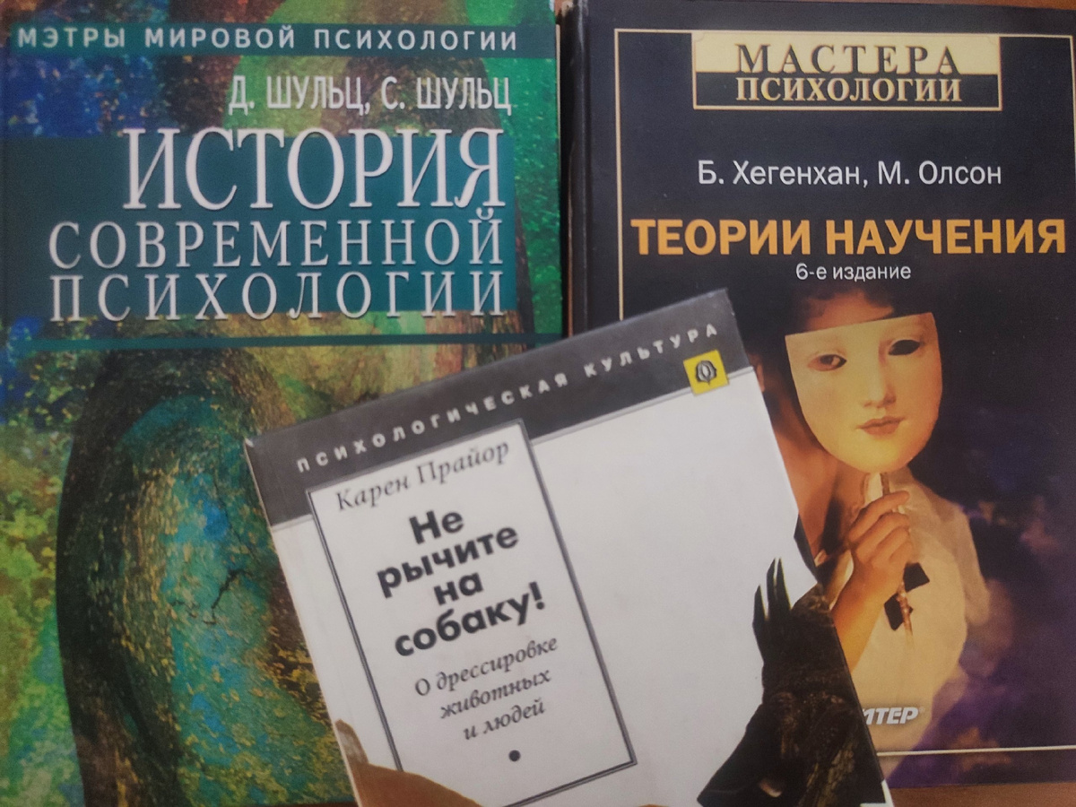 Появилась вторая часть Критики книги Карен Прайор «Не рычите на собаку" от Е.Н.Маныкиной. https://vk.com/wall-87725841_14503

Разбор первой части по этой ссылке https://vk.