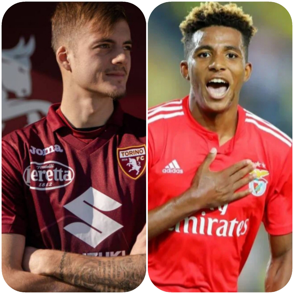 Илич (слева) и Фернандеш