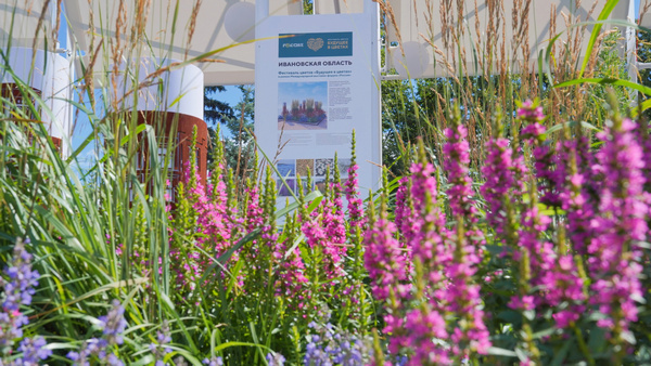     Клумба Ивановской области на выставке «Россия» признана одной из лучших