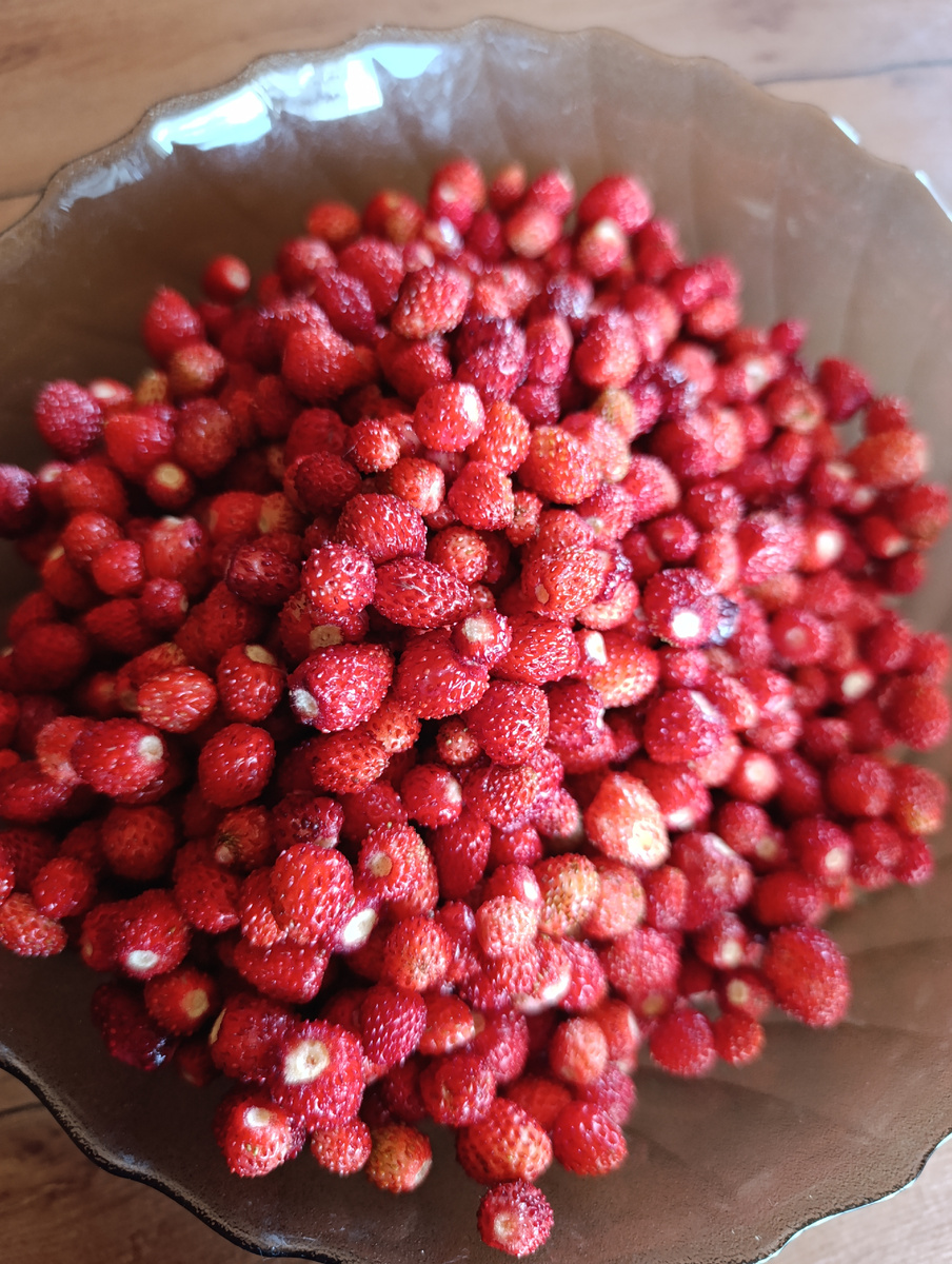 Это- детям поесть