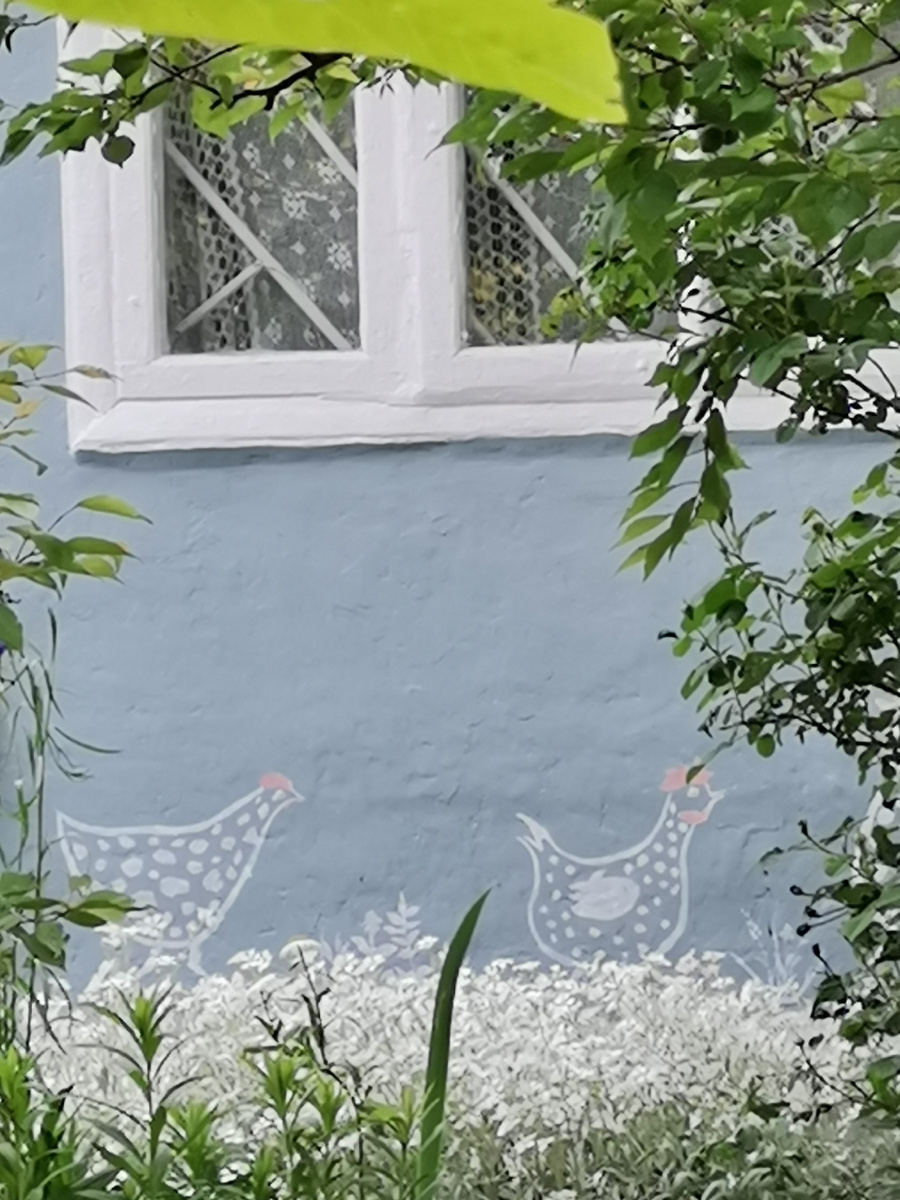 Мои забавные куры. 