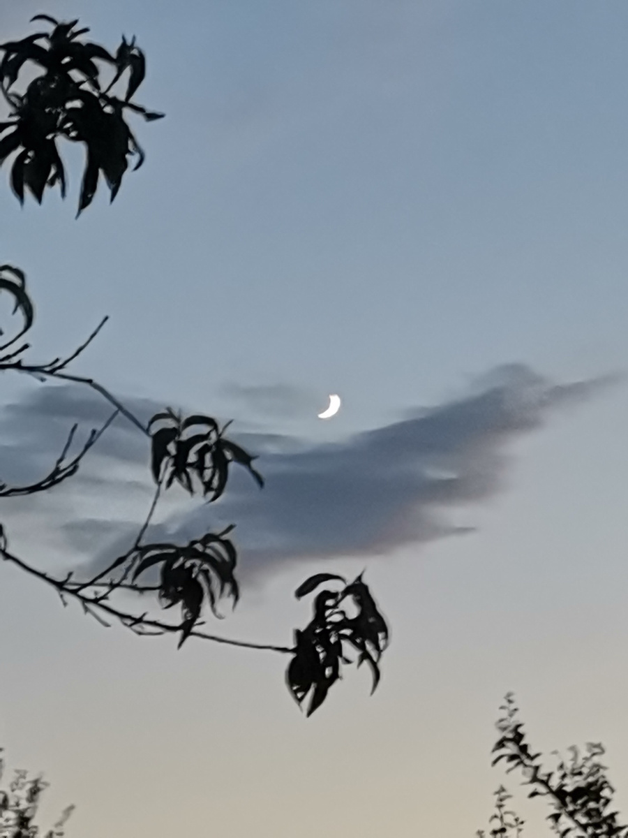 Новолуние. Кого или что напоминают облака? 