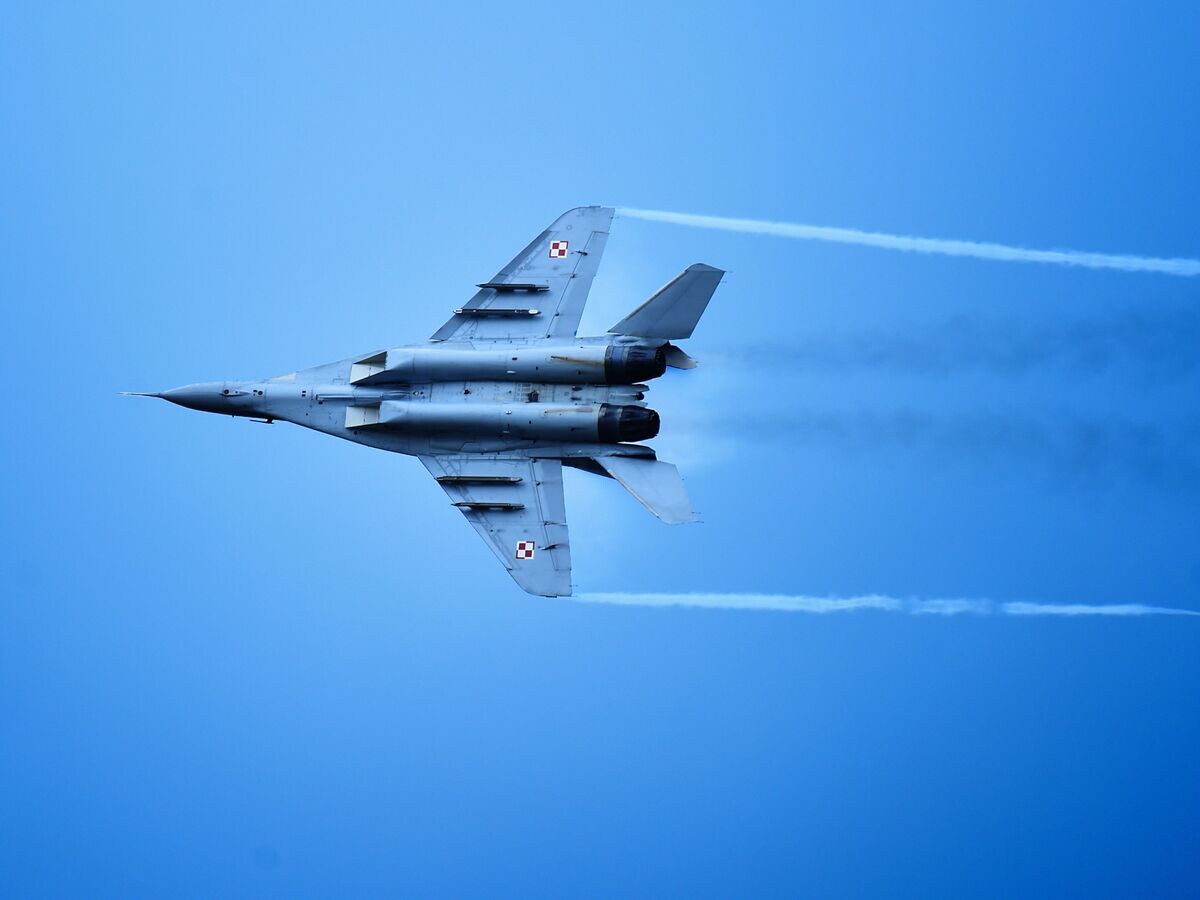    Истребитель МиГ-29 ВВС Польши © Фото : U.S. Air Force / Staff Sgt. Jarad A. Denton