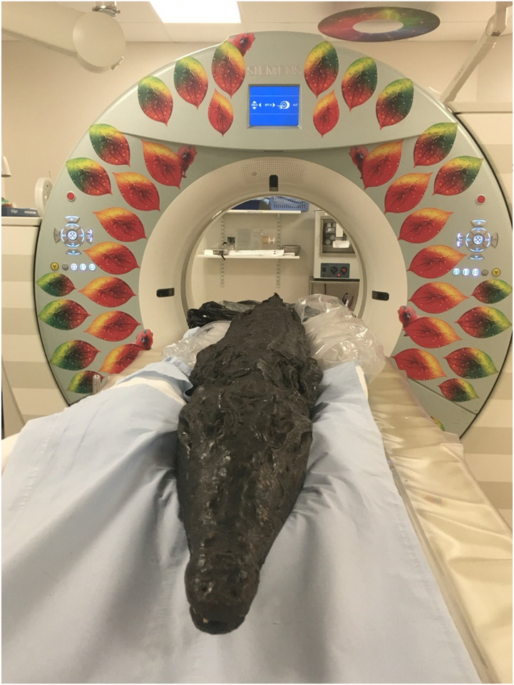   Lidija McKnight et al. / Digital Applications in Archaeology and Cultural Heritage, 2024