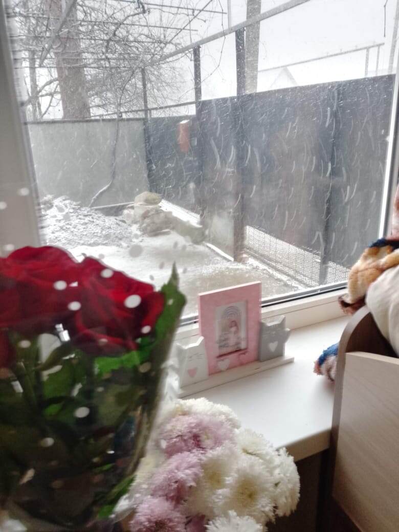 Зато в прохладе хорошо сохранялись цветы, стояли по месяцу. За окном снег - редкое явление в Краснодарском крае