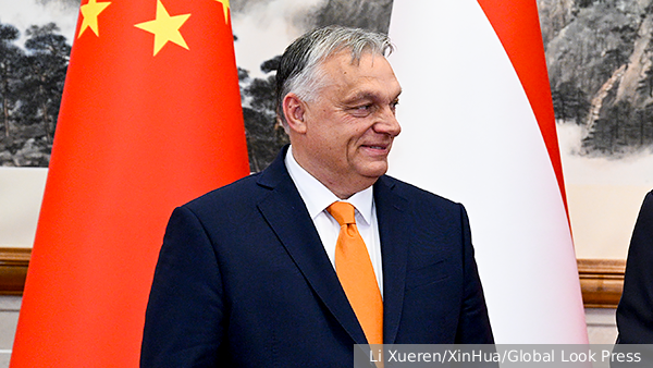     Фото: Li Xueren/XinHua/Global Look Press   
 Текст: Анастасия Куликова