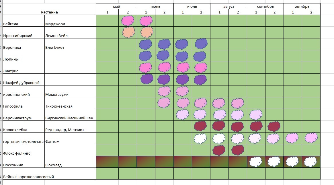 А это у меня схема цветения. Еще очень приблизительно, потому что сроки цветения я брала из интернета и пока даже не представляю когда какое растение будет цвести и сколько. Например про флоксы написано, что они цветут в августе, а на самом деле они уже во всю набирают цвет.
