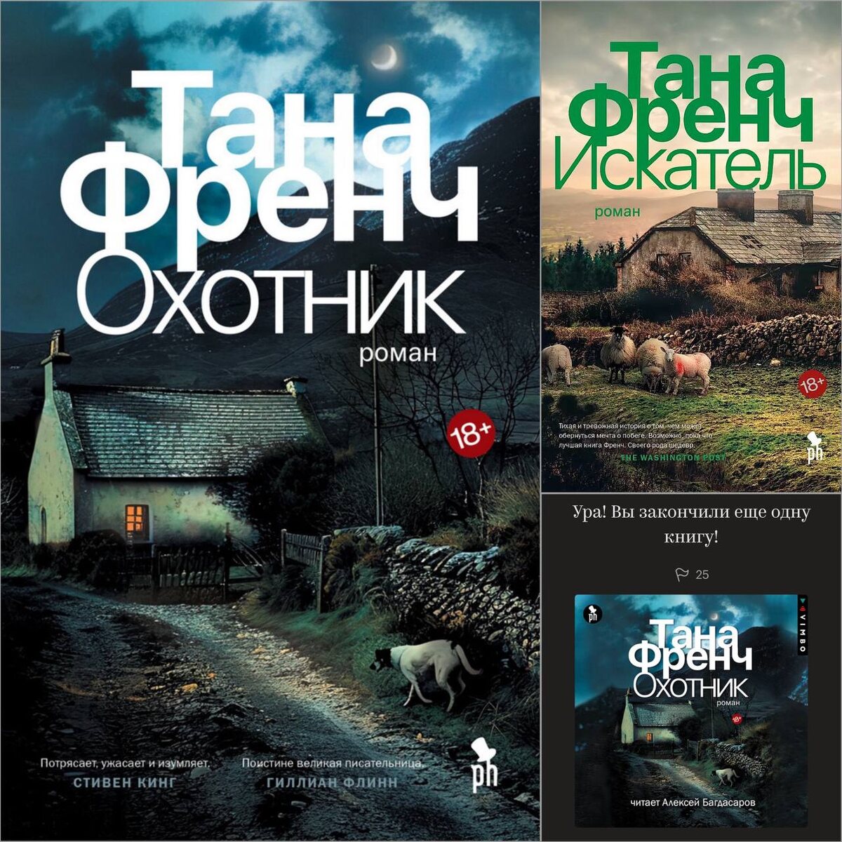 Обложки книг и пометка о прочитанном из приложения