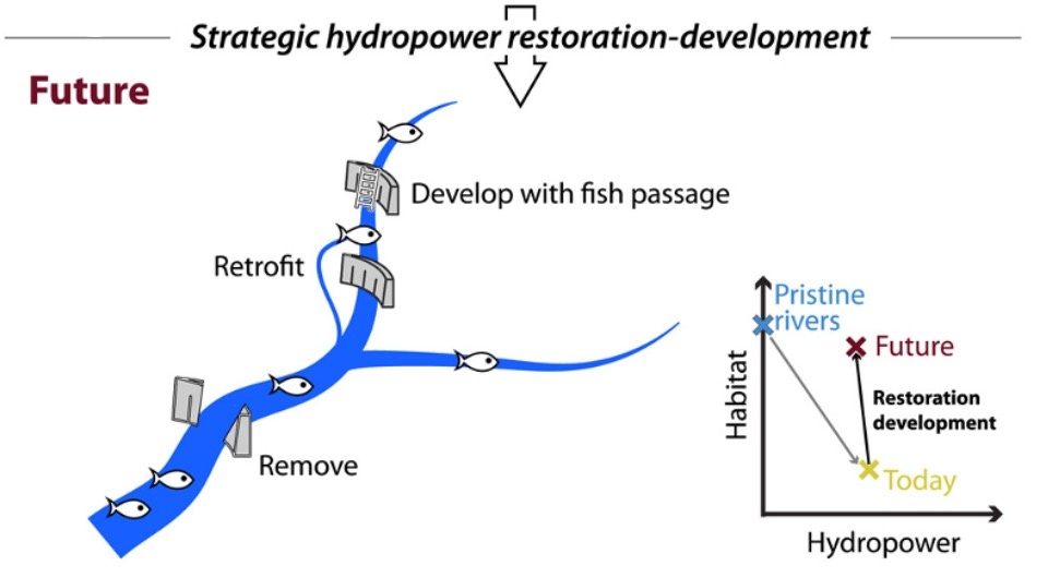   Valerio Barbarossa et al. / One Earth, 2024