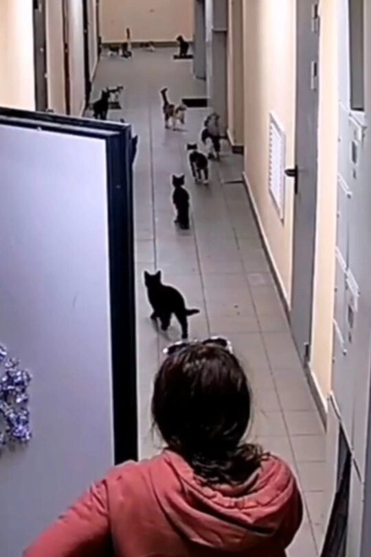    Фото: соцсети