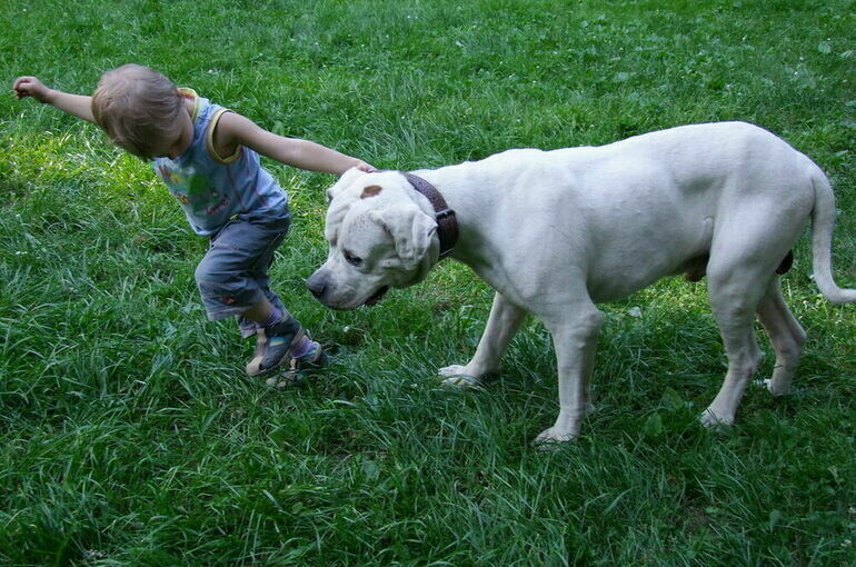   Игорь Самохвалов/ПГ