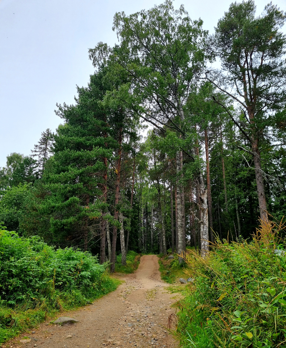 Соловецкие острова. Секирная гора. Фото автора статьи.