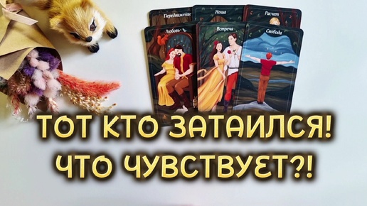 Тот кто затаился! Что чувствует к тебе?! Гадание на таро