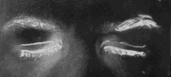 Фото: Яндекс картинки