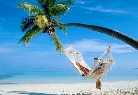 Яндекс картинки