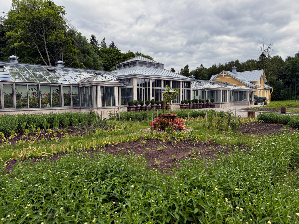 Оранжерейный комплекс. Парк Монрепо. Фото автора