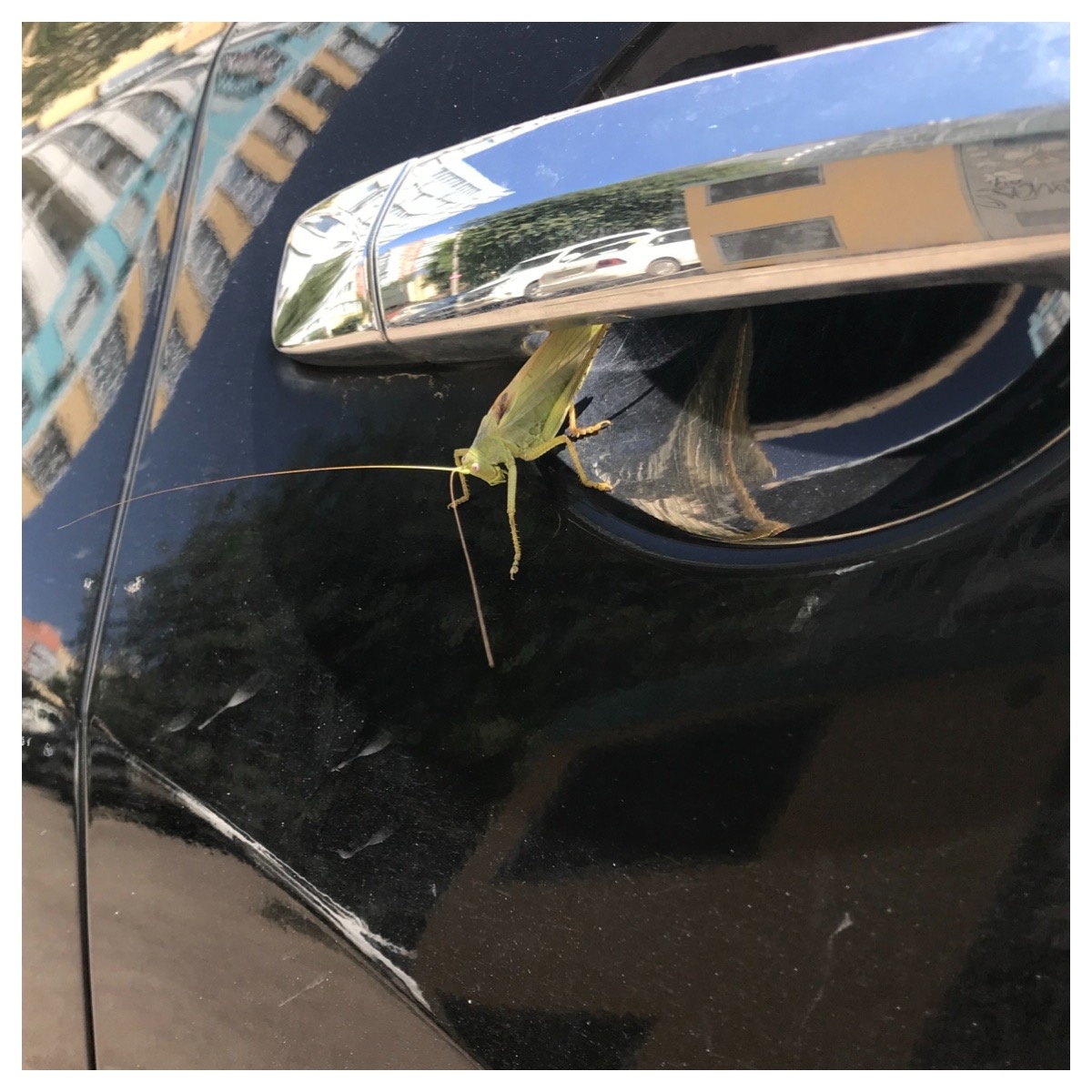 Метафора "Пассажир"