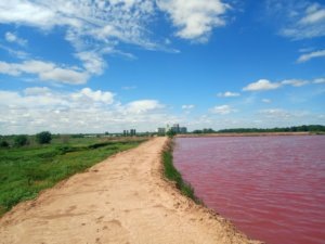    Фото: Росприроднадзор