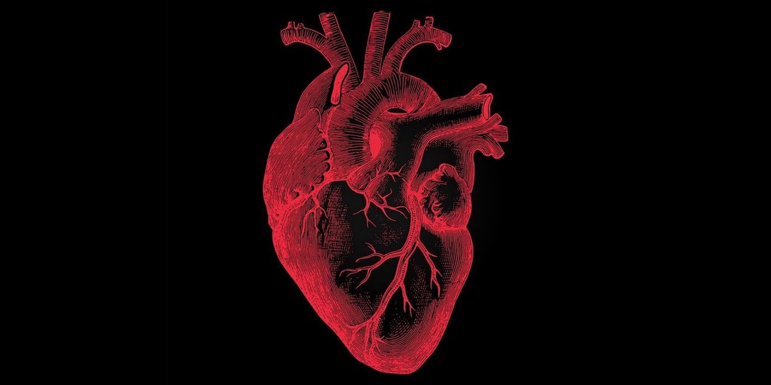 Почему при нормальном холестерине появляются бляшки в сосудах?