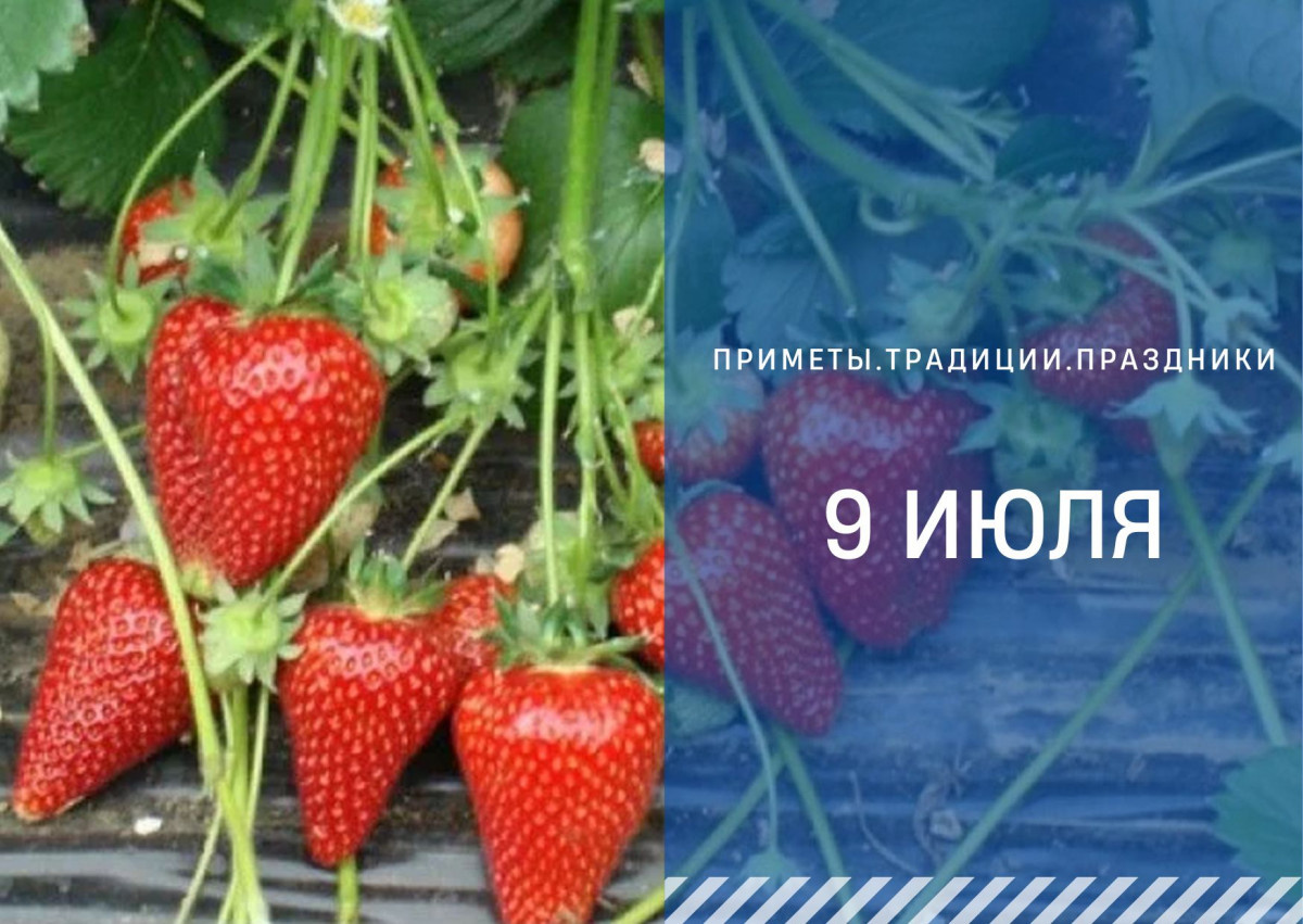   ГТРК "Ставрополье"