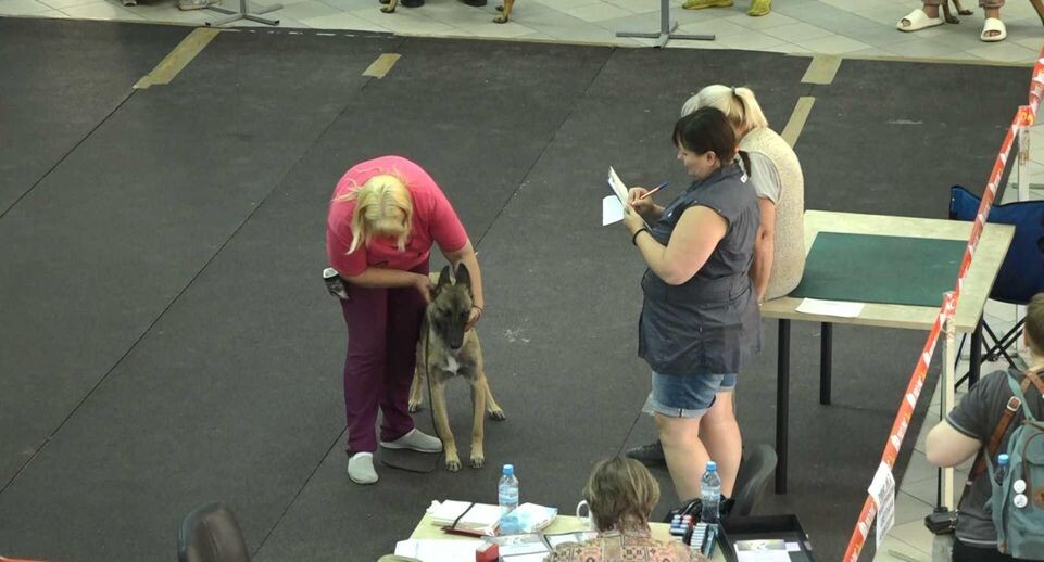    Телеканал «360»