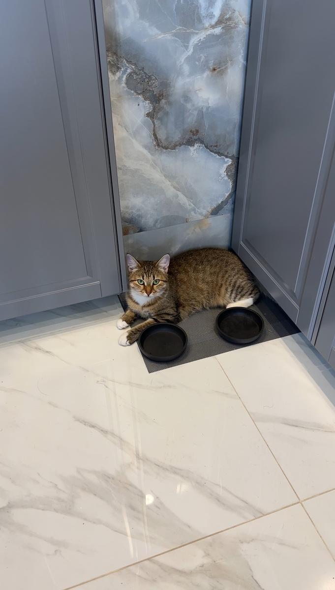 Когда все слопали, а «кормилец» опаздывает