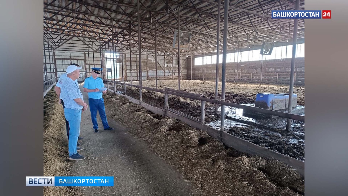    Четверо мужчин отравились газом на ферме в Башкирии: один погиб, трое госпитализированы