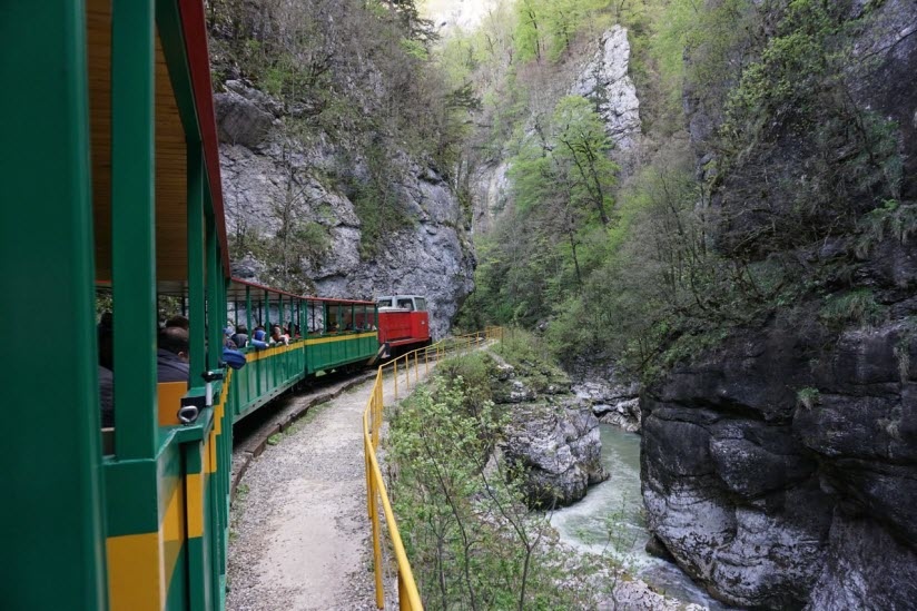 Узкоколейка...