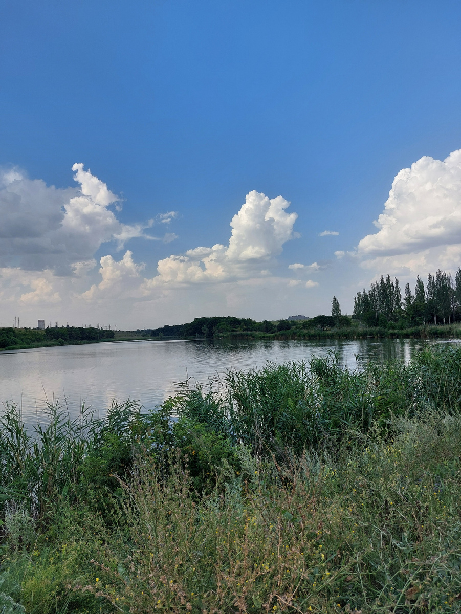 Кировский городской ставок ( пруд от реки Кленовая).