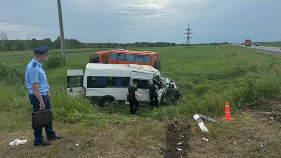    В ДТП с автобусом в Красноярском крае пострадали 17 человек Ирина Петрова