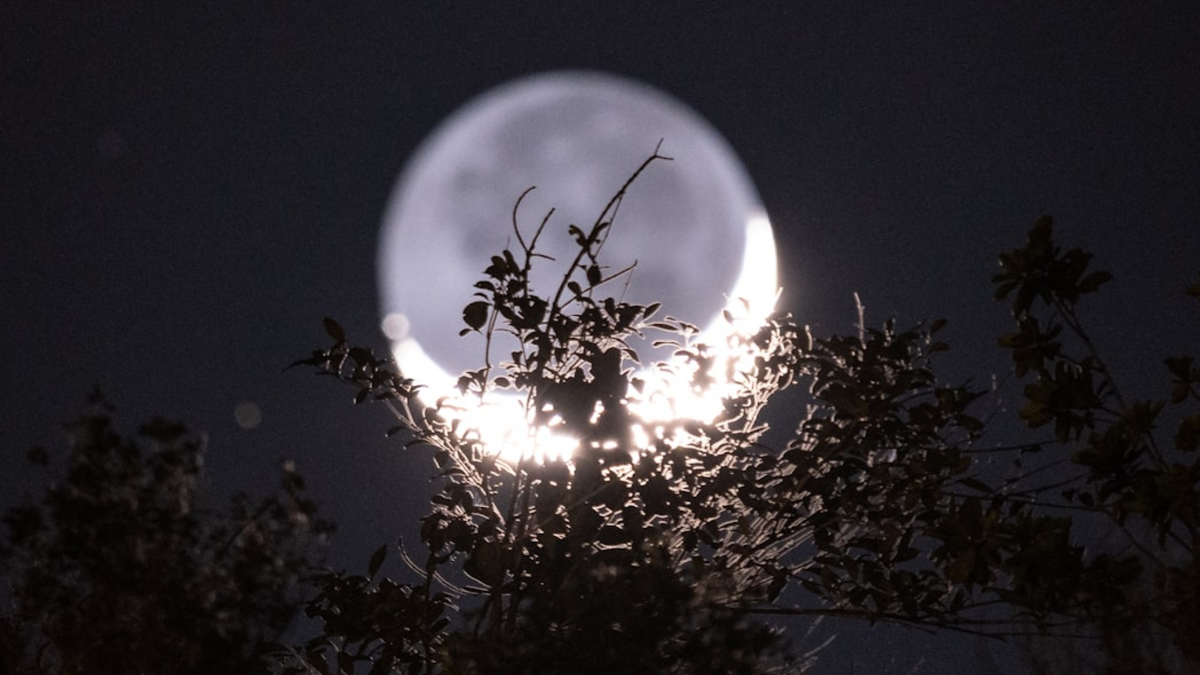 Растущая Луна. Джйотиш. Дни растущей Луны