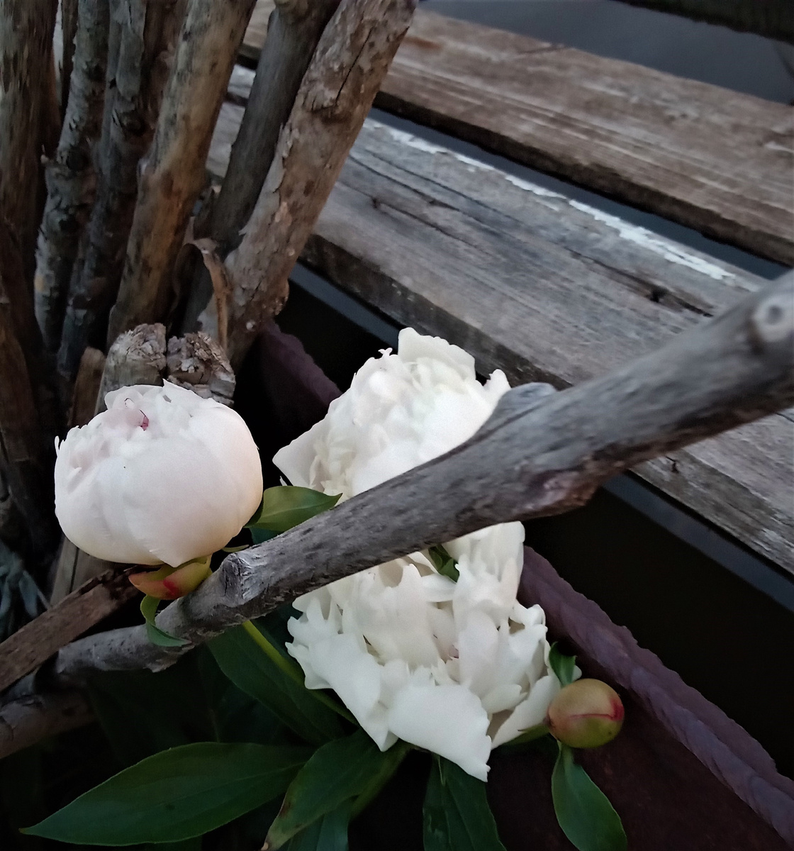 Через преграды. Фото автора