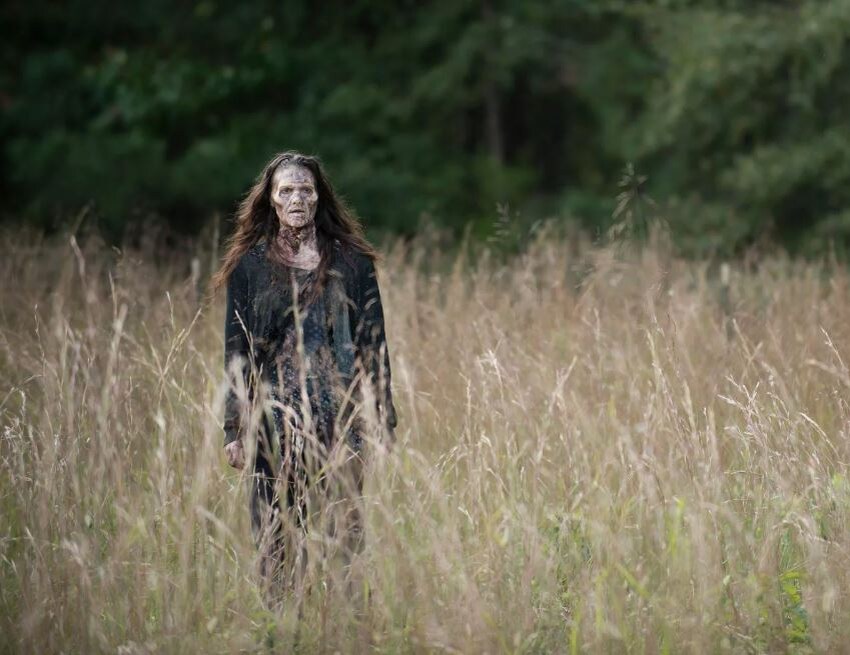 Свободный источник