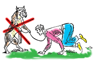 1. Повторять команду надо одними и теми же словами, одной и той же интонацией.