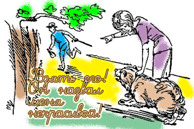 17. Натравливая собаку на человека, вы нарушаете закон.