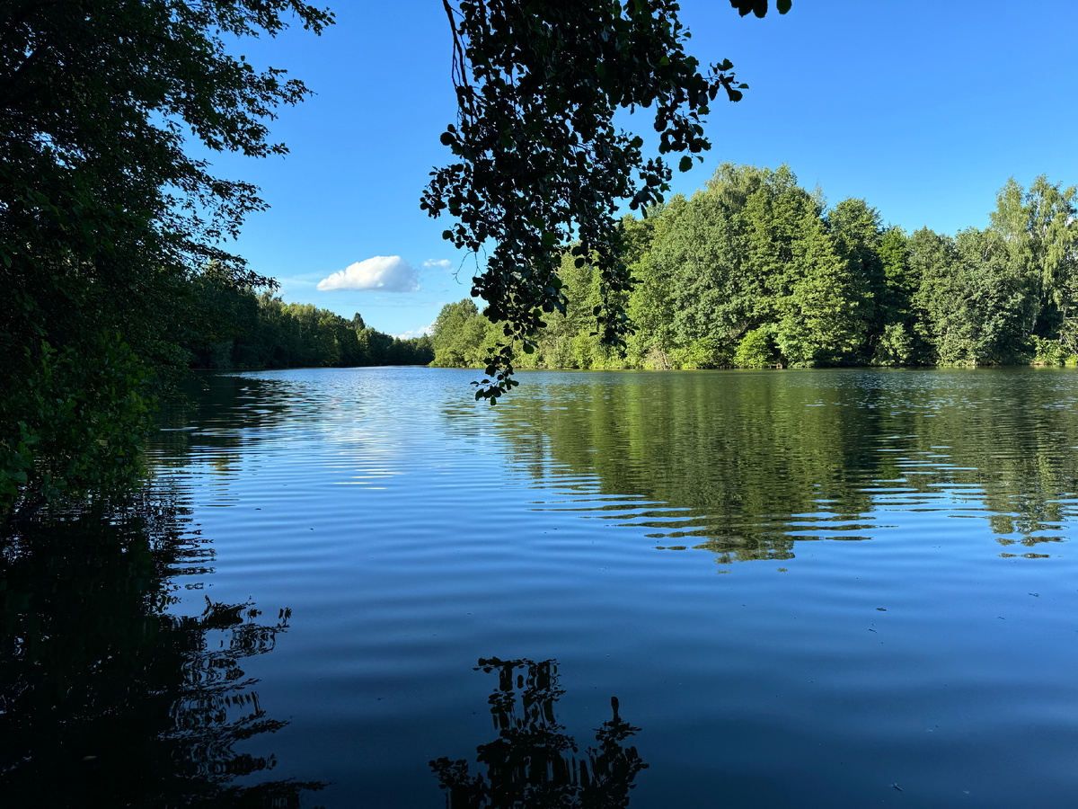 Лесное озеро